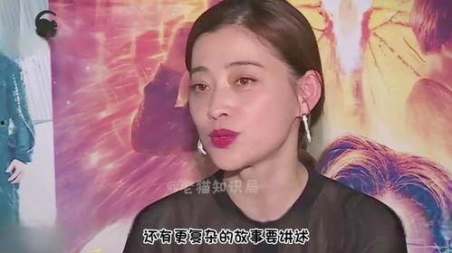 那英爆料肖战杨紫视频,揭秘娱乐圈幕后故事  第1张